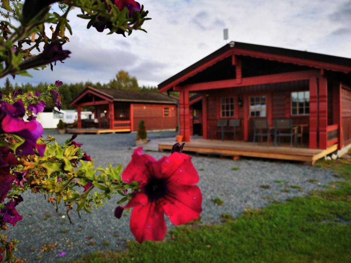 First Camp Bo - Telemark Bo (Telemark) Extérieur photo
